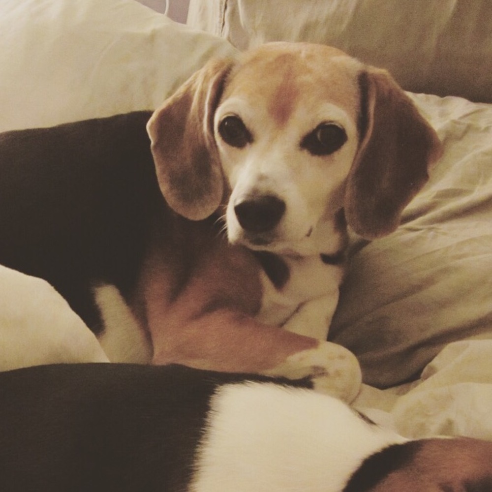Meet your Posher, Keiko